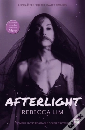 Capa do artigo Afterlight