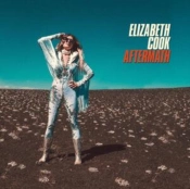 Capa do artigo Aftermath - CD