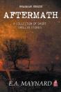 Aftermath - Preview