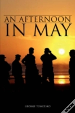 Capa do artigo Afternoon In May