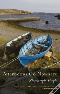 Capa do artigo Afternoons Go Nowhere