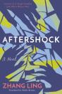 Aftershock - Preview