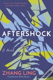 Capa do artigo Aftershock
