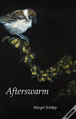 Capa do artigo Afterswarm