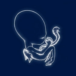 Capa do artigo Ágætis Byrjun - Vinil