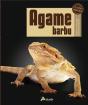 Agame Barbu - Preview