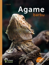 Agame Barbu
