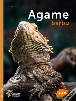 Capa do artigo Agame Barbu