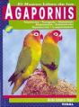 Agapornis - Preview