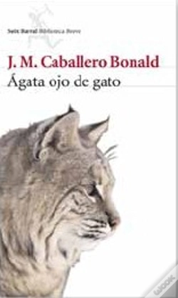 Capa do artigo Ágata Ojo De Gato