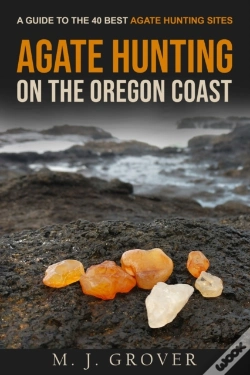 Capa do artigo Agate Hunting On The Oregon Coast
