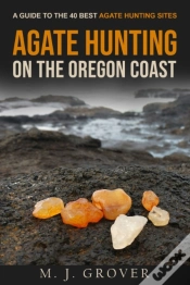 Capa do artigo Agate Hunting On The Oregon Coast