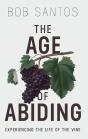 Age Of Abiding - Preview