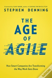 Capa do artigo Age Of Agile