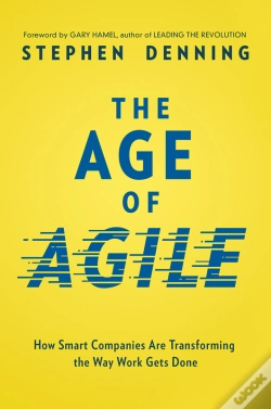 Capa do artigo Age Of Agile