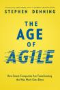 Age Of Agile - Preview