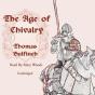 Age Of Chivalry - Preview