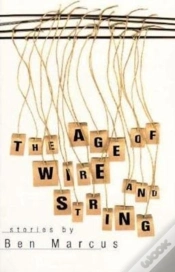 Capa do artigo Age Of Wire And String