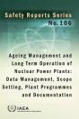 Ageing Management And Long Term Operation Of Nuclear Power Plants: Data Management, Scope Setting, Plant Programmes And Documentation - Preview