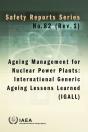 Ageing Management For Nuclear Power Plants: International Generic Ageing Lessons Learned (Igall) - Preview