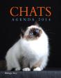 Agenda Chat 2014 - Preview