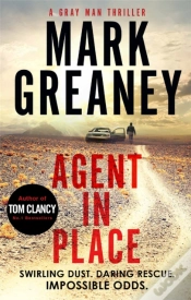 Capa do artigo Agent In Place