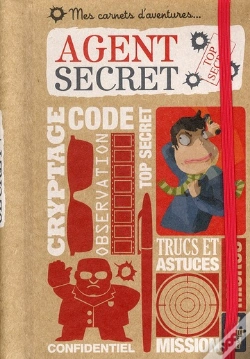 Capa do artigo Agent Secret