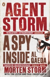 Capa do artigo Agent Storm
