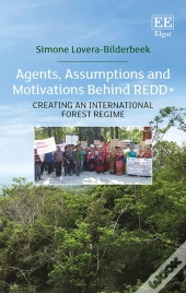 Agents, Assumptions And Motivations Behind Redd+