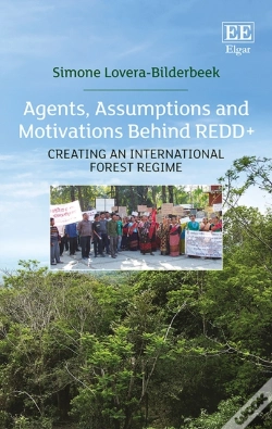 Capa do artigo Agents, Assumptions And Motivations Behind Redd+