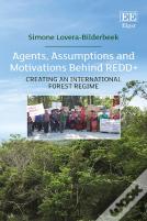 Agents, Assumptions And Motivations Behind Redd+
