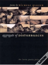 Aggregate Of Disturbances