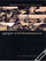 Capa do artigo Aggregate Of Disturbances