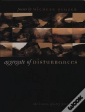 Aggregate Of Disturbances