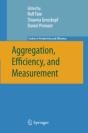 Aggregation, Efficiency, And Measurement - Preview