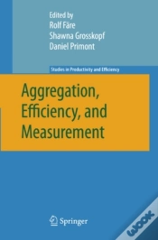 Capa do artigo Aggregation, Efficiency, And Measurement