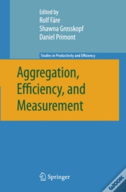 Capa do artigo Aggregation, Efficiency, And Measurement
