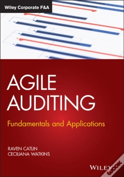 Capa do artigo Agile Auditing