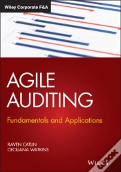 Capa do artigo Agile Auditing