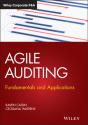 Agile Auditing - Preview