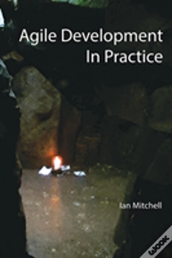 Capa do artigo Agile Development In Practice
