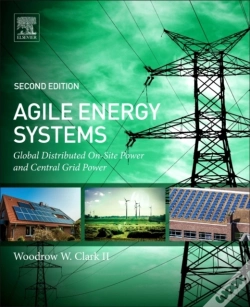 Capa do artigo Agile Energy Systems