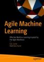Agile Machine Learning - Preview