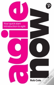 Capa do artigo Agile Now