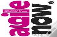 Agile Now