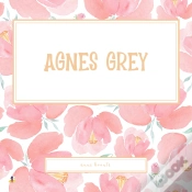 Capa do artigo Agnes Grey