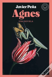 Capa do artigo Agnes