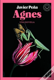 Capa do artigo Agnes