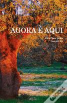 Agora é Aqui