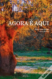 Capa do artigo Agora é Aqui